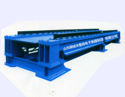 GCU/GCS series of dynamic and static electronic track scale